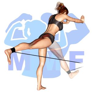 Graphic image of Resistance Band Single Leg Bent Over Hip Extensions.
