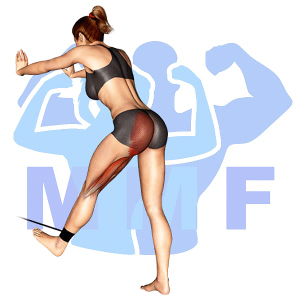Woman performing resistance band single leg curls with MuscleMagFitness logo background.
