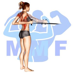 Graphic image of Resistance Band Standing Rows.