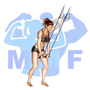 Graphic image of Resistance Band Straight Arm Pulldowns.