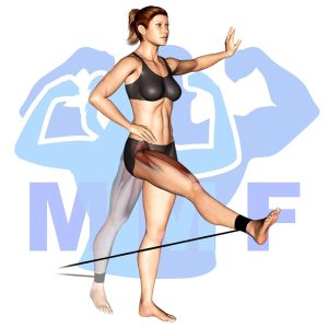 Graphic image of Resistance Band Straight Leg Raises.