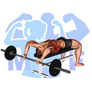 Graphic image of Barbell Bent Arm Pullover.
