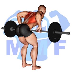 Graphic image of Barbell Bent Over Row.
