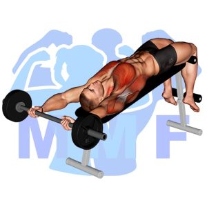 Graphic image of Barbell Decline Pullover.