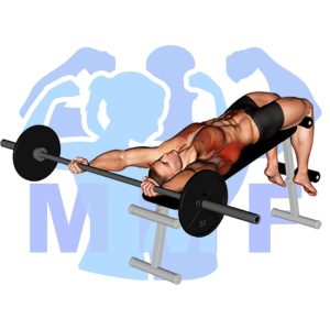 Graphic image of Barbell Decline Wide Grip pullover.