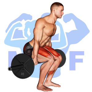 Graphic image of Barbell Hack Squat.