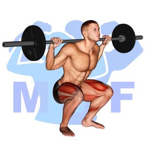 Graphic image of Barbell High Bar Squat.