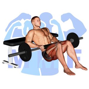 Graphic image of Barbell Hip Thrust.
