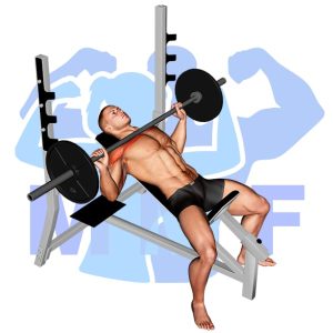 Graphic image of Barbell Incline Bench Press.