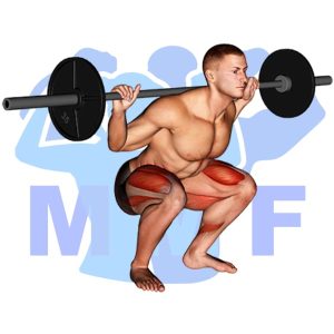 Graphic image of Barbell Low Bar Squat.