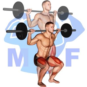 Graphic image of Barbell Narrow Squat.