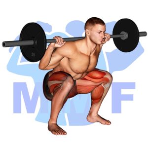 Graphic image of Barbell Olympic Squat.