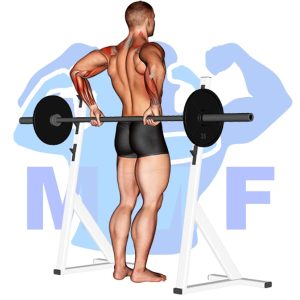 Graphic image of Barbell Rear Delt Raise.