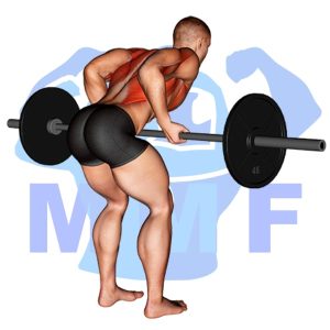 Graphic image of Barbell Reverse Grip Bent Over Row.