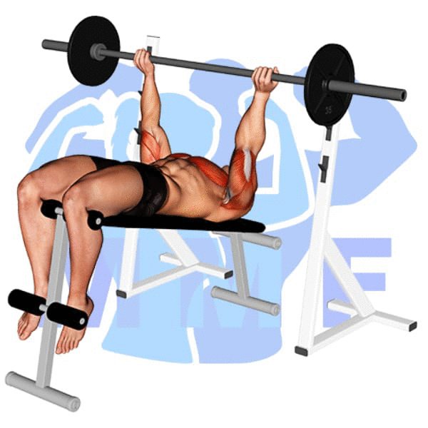 Barbell Reverse Grip Decline Bench Press Exercise - Working Your Lower Chest