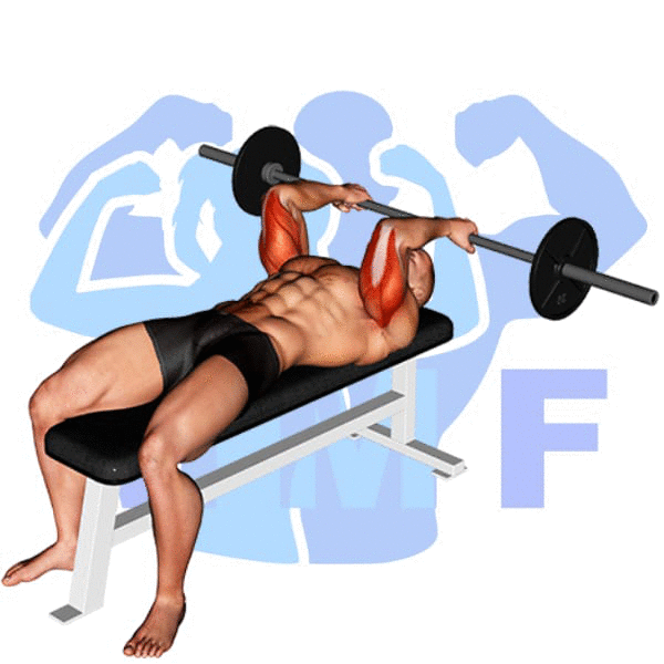 Barbell Reverse Grip Incline Bench Press Exercise - Easy How To Guide