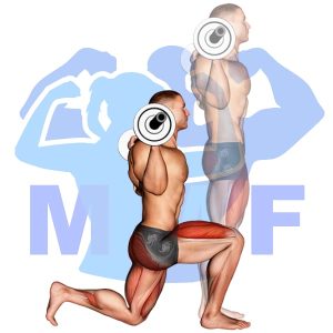 Graphic image of Barbell Reverse Lunge.