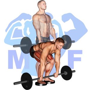Graphic image of Barbell Romanian Deadlift From Deficit.