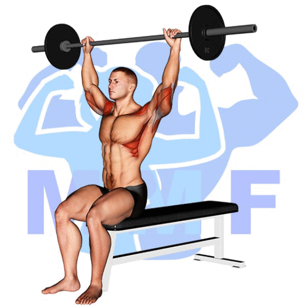 Barbell Seated Behind Head Military Press Exercise - Quick Form Guide