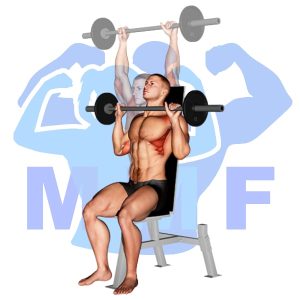 Graphic image of Barbell Seated Shoulder Press.