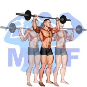 Graphic image of Barbell Standing Bradford Press.