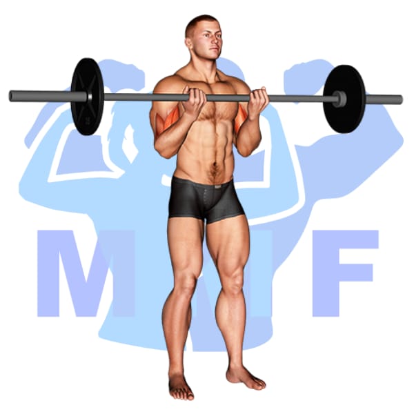 Barbell Standing Close Grip Curl Exercise - Effective Exercise Guide