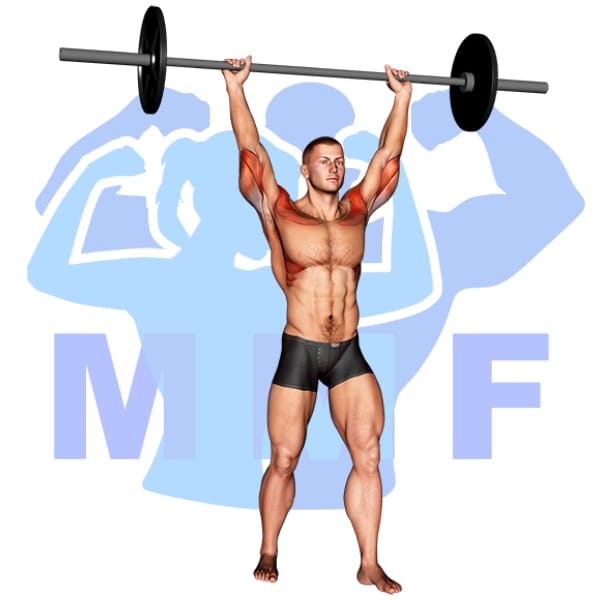 Barbell Standing Military Press Exercise - Your Quick Exercise Guide And Tips