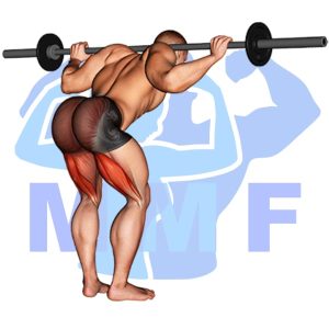 Graphic image of Barbell Stiff Leg Good Morning.