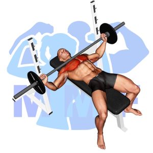 Graphic image of Barbell Wide Bench Press.