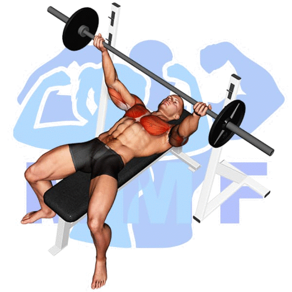 Barbell Wide Reverse Grip Bench Press Exercise - Easy How To Guide