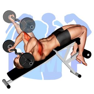 Graphic image of EZ Bar Decline Triceps Extension.