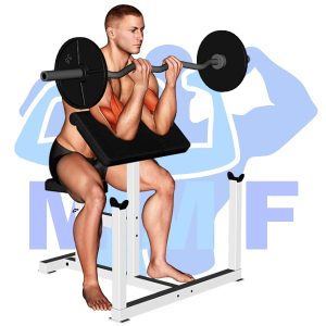 Graphic image of EZ Bar Preacher Curl.