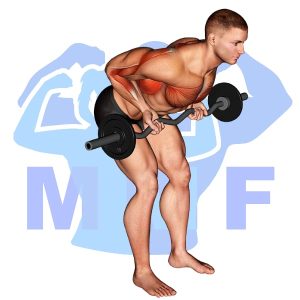 Graphic image of EZ Bar Reverse Grip Bent Over Row.