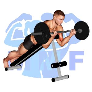 Graphic image of EZ Bar Spider Curl.