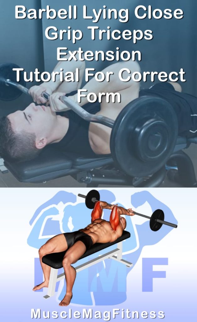 Pin image for barbell lying close grip triceps extension post. With an image of a man performing the exercise on Top and a graphic of the exercise on the Bottom.