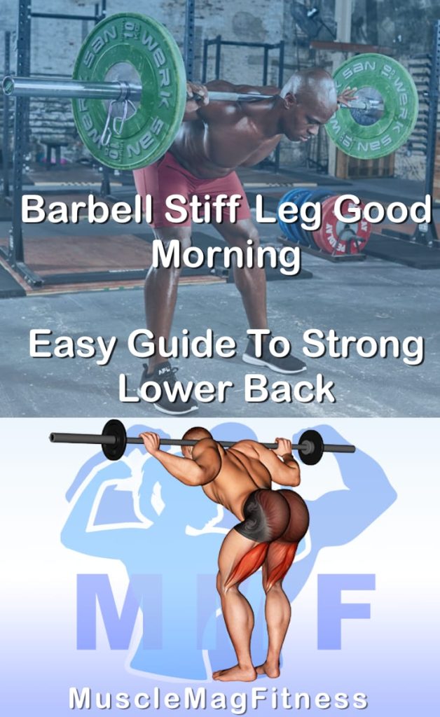 Pin image for barbell stiff leg good morning post. With an image of a man performing the exercise on Top and a graphic of the exercise on the Bottom.