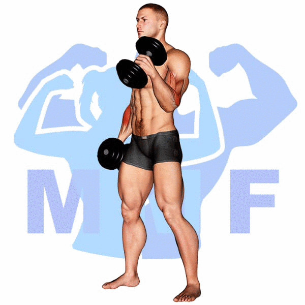 Man Performing Alternating Dumbbell Hammer Curl