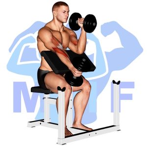 Graphic image of Alternating Dumbbell Hammer Preacher Curl.