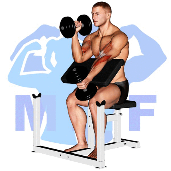 Man Performing Alternating Dumbbell Hammer Preacher Curl