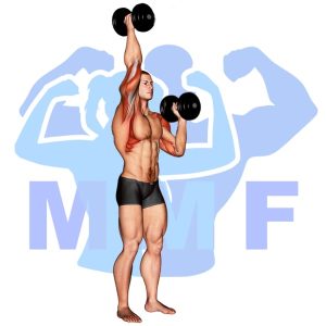 Graphic image of Alternating Dumbbell Overhead Press.