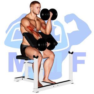 Graphic image of Alternating Dumbbell Preacher Curl.