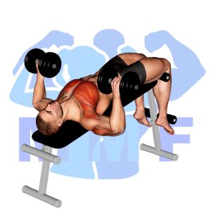Graphic image of Decline Dumbbell Bench Press.