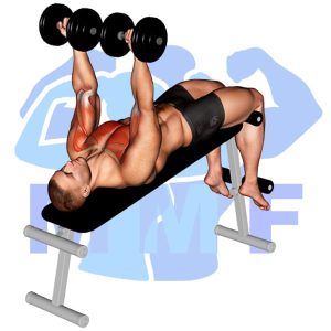 Graphic image of Decline Dumbbell Twist Fly.