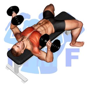 Graphic image of Dumbbell Bench Press.