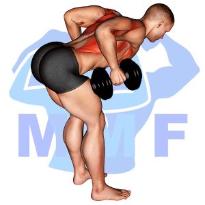 Graphic image of Dumbbell Bent Over Row.