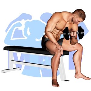 Graphic image of Dumbbell Concentration Curl.