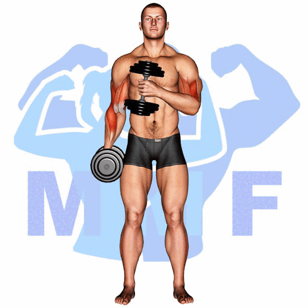 Man Performing Dumbbell Cross Body Hammer Curl
