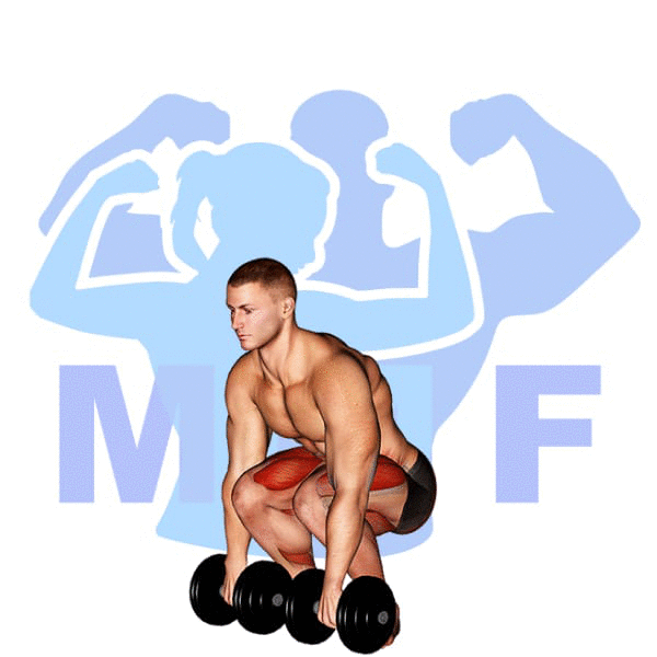 Man Performing Dumbbell Deadlift