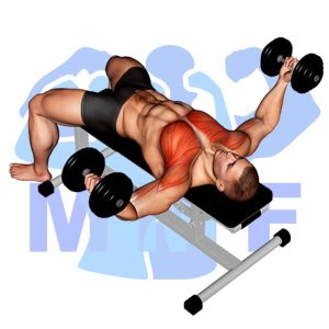 Graphic image of Dumbbell Fly.