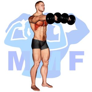 Graphic image of Dumbbell Front Raise.